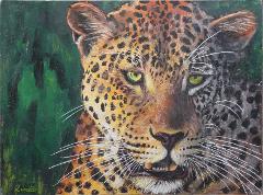 leopard_close.jpg